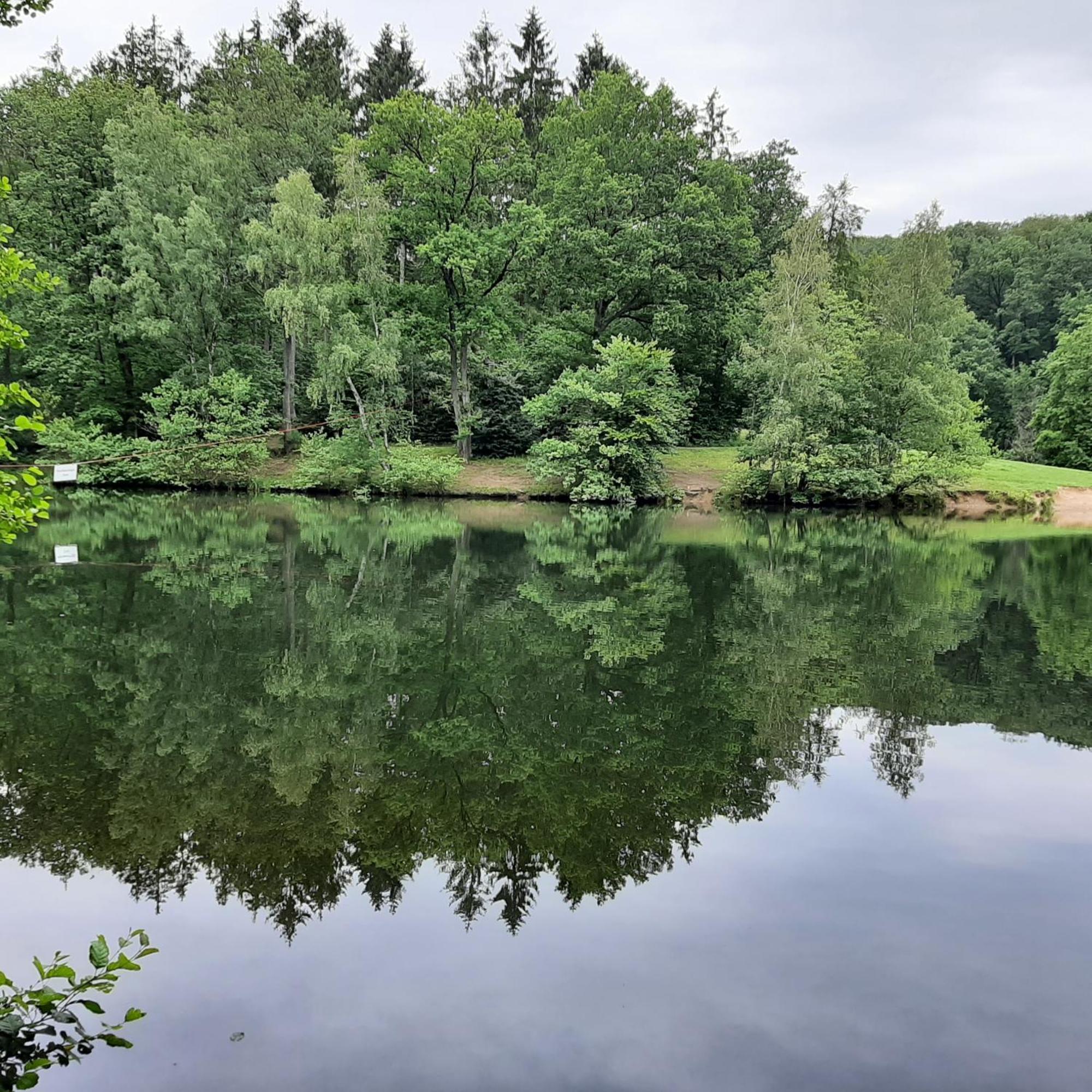 Design Apartment- 24H Self-Check-In - Bis 4 Pers - Parkplatz - Wifi - Balkon -Terrasse - In Direkter Weihernaehe - Radwege Schiffweiler Luaran gambar